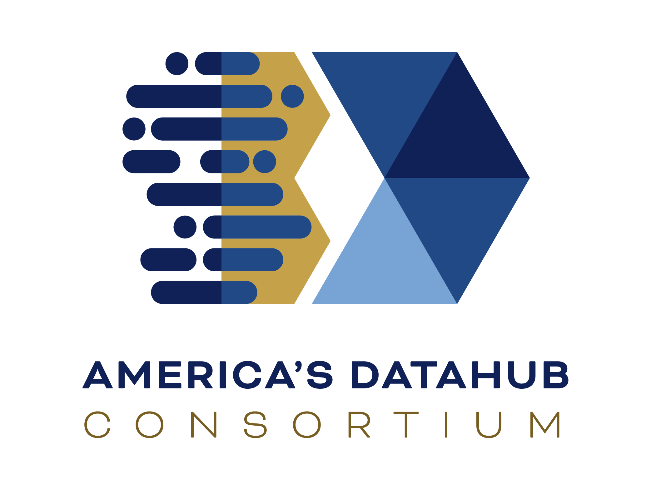 America's DataHub Consortium logo, with navy and gold geometric shapes above the wordmark.